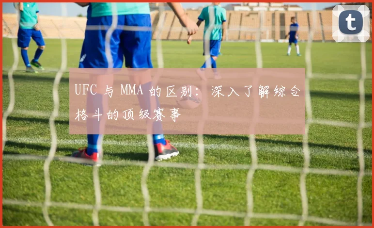 UFC 与 MMA 的区别:深入了解综合格斗的顶级赛事