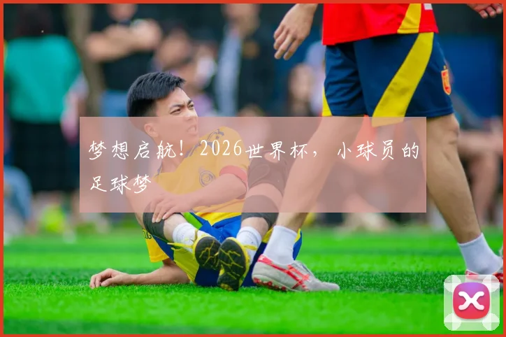 梦想启航！2026世界杯，小球员的足球梦