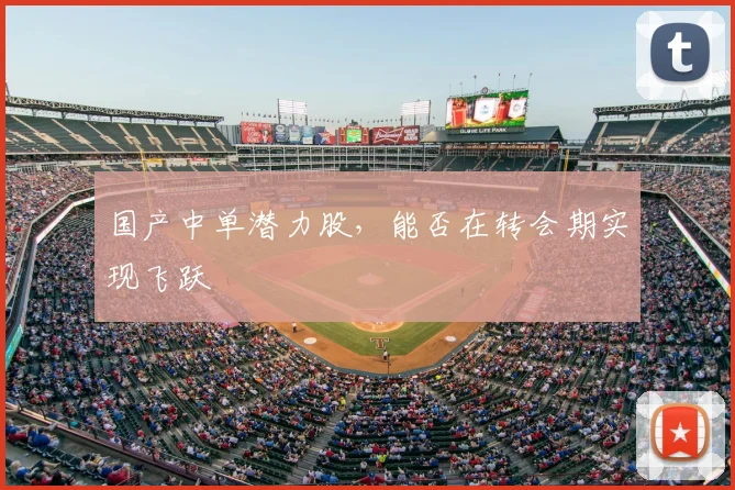 国产中单潜力股，能否在转会期实现飞跃