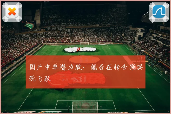 国产中单潜力股，能否在转会期实现飞跃