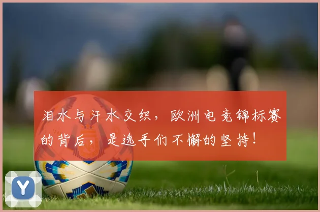 泪水与汗水交织，欧洲电竞锦标赛的背后，是选手们不懈的坚持！