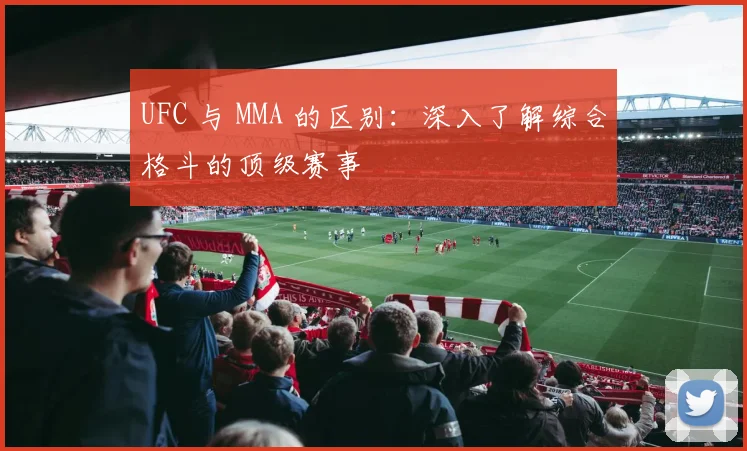 UFC 与 MMA 的区别:深入了解综合格斗的顶级赛事
