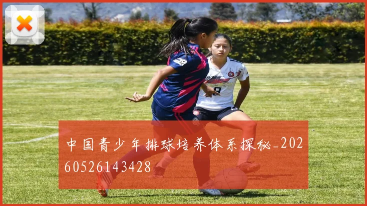 中国青少年排球培养体系探秘_20260526143428